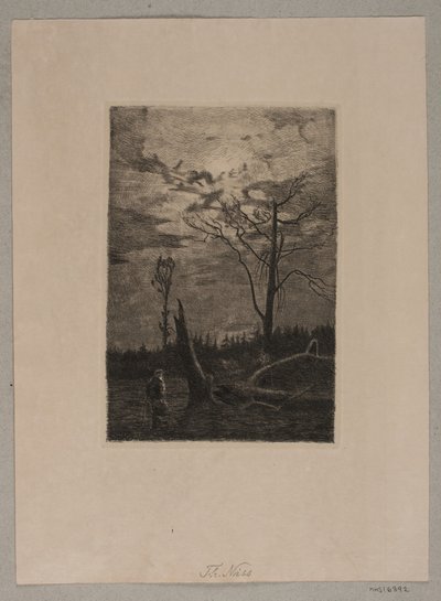 森林破壊。 夜 作： Thorvald Niss