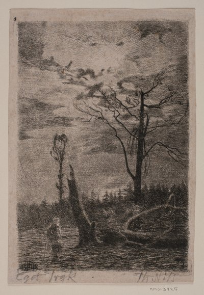 森林破壊。 夜 作： Thorvald Niss