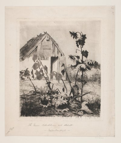 家のそばのひまわり 作： Thorvald Niss
