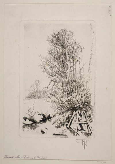 小川沿いの木 作： Thorvald Niss