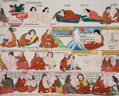 チベット医学の原稿（389729の詳細） 作： Tibetan School