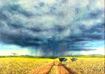 アフリカの嵐、2016年、 作： Tilly Willis