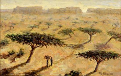 サヘルの風景、2002 作： Tilly Willis