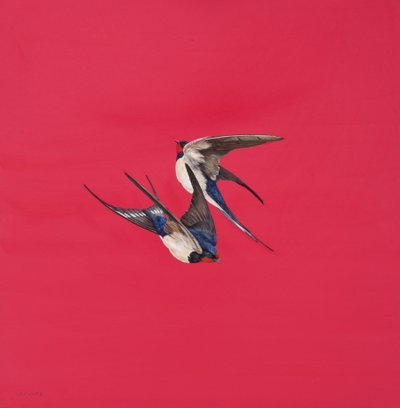 渦巻き赤、水彩、グアッシュ、水彩ボード、50.8 x 50.8 cm 作： Tim Hayward