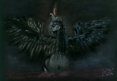  作： Tim Hoinkis