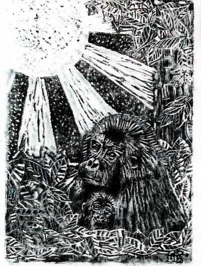 ジャングルのゴリラ一家 作： Tim Hoinkis