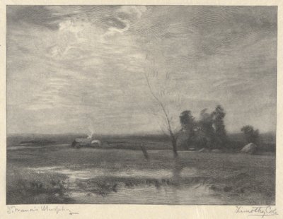 風景、午後 作： Timothy Cole