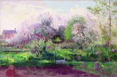 アロットメント・ストーカー 作： Timothy Easton