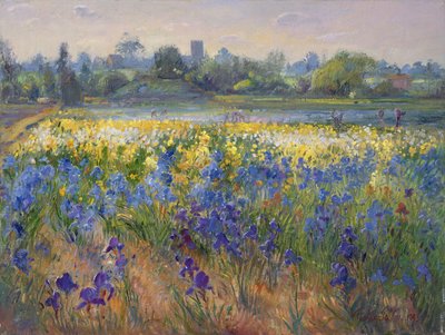 1993年、ブルガテのブルーヘイズ 作： Timothy Easton