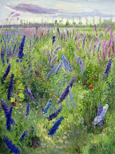 デルフィニウムとエマージングサン 作： Timothy Easton