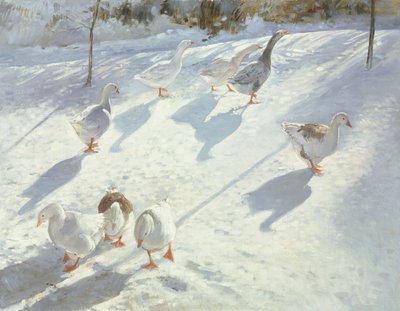 二方向に 作： Timothy Easton