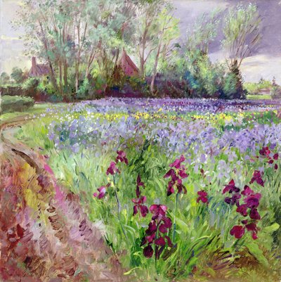 アイリス・フィールド、ストーム・ギャザリング 作： Timothy Easton