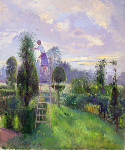 シェイプアップ 作： Timothy Easton