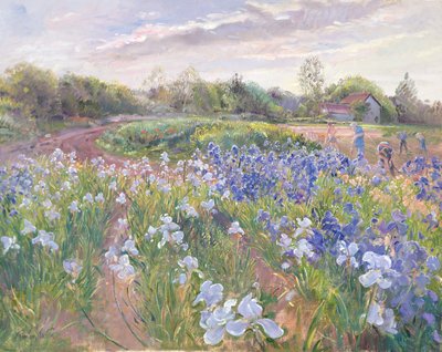アイリスの太陽の輝き、1996 作： Timothy Easton