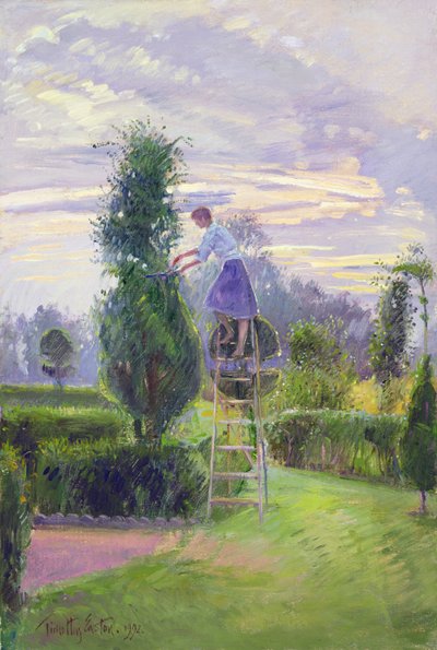 第1回目のトリミング 作： Timothy Easton