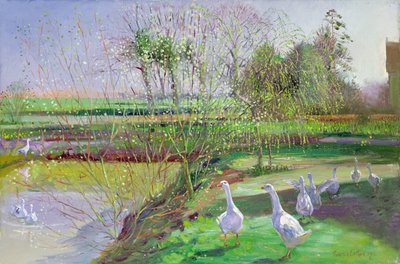 ヤナギとガチョウ 作： Timothy Easton