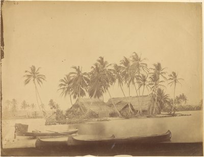 [リモン湾、ダリエン地峡（パナマ）]。 作： Timothy H. OSullivan
