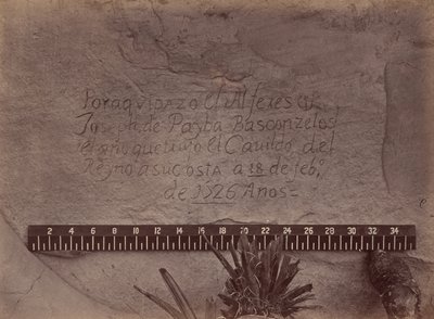 100度子午線以西の地理・地質学的探検と調査 作： Timothy O