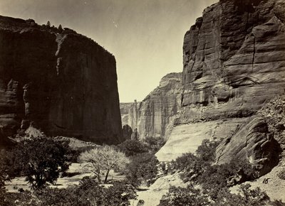 キャニオン・デ・シェルの頭、下を見る。高さ約1200フィートの壁 作： Timothy O