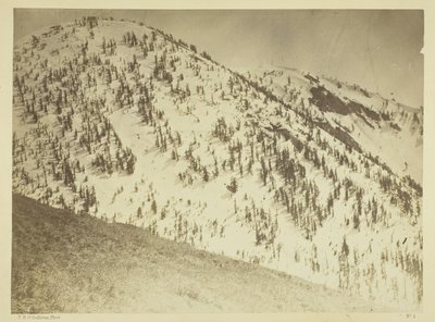 ネバダ州ブルラン鉱山地区、スノーピークス 作： Timothy O