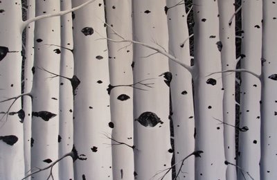 白樺の木、2017年（キャンバスにアクリル画） 作： Tina Palmer