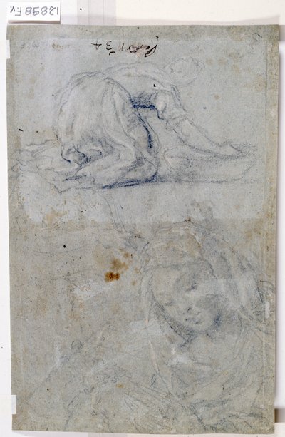 聖母の研究（木炭、紙） 作： Titian (c.1488 1576)
