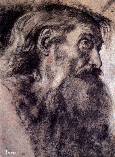 老人の頭部 ティツィアーノ・ヴェチェッリオ（ティツィアーノ）（1485-1576）による素描 16世紀 パリ、ルーヴル美術館 作： Titian (c.1488 1576)