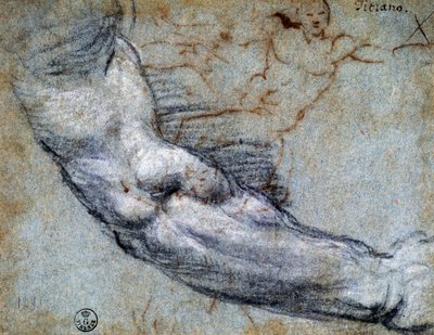 腕の研究」ティツィアーノ（1488年頃～1576年）作、デッサン 作： Titian (c.1488 1576)