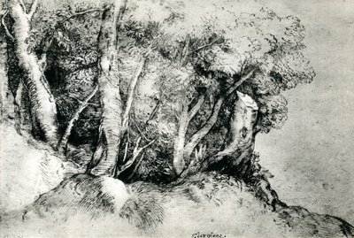森の風景、c1516-1518、1937 作： Tiziano Vecelli