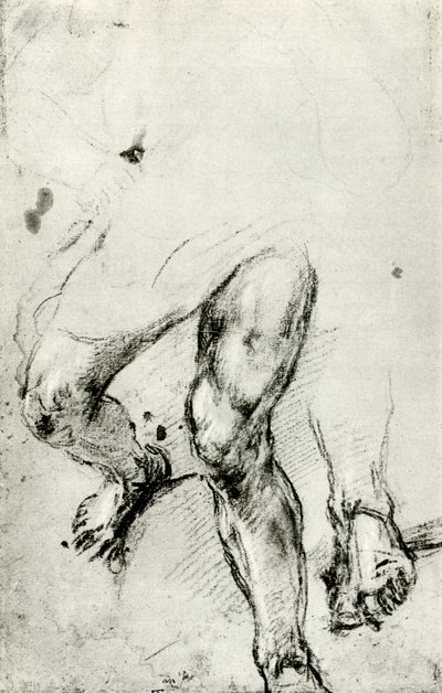 ヴェネツィアの聖ローレンス殉教の研究、c1550、1937 作： Tiziano Vecelli