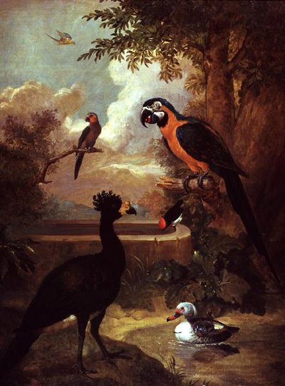 野生の鳥 作： Tobias Stranover