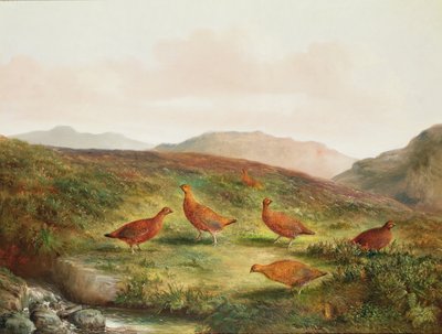 荒れ地の風景の中のライチョウ 作： Tom Hold