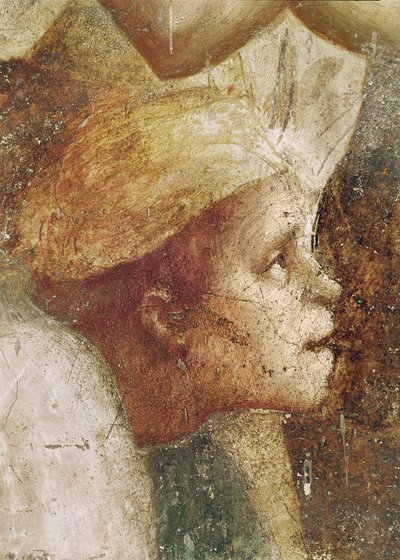 不具の頭、聖ピーターヒーリングと彼の影、1427年頃（60321の詳細） 作： Tommaso Masaccio