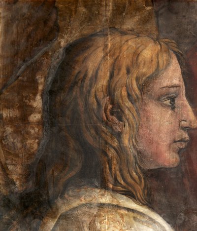 寺院でのプレゼンテーションのタペストリーの漫画の頭、c.1524（紙に油彩とテンペラ） 作： Tommaso Vincidor
