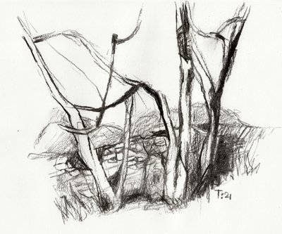 裸の森のスケッチ 作： Tore Bahnson
