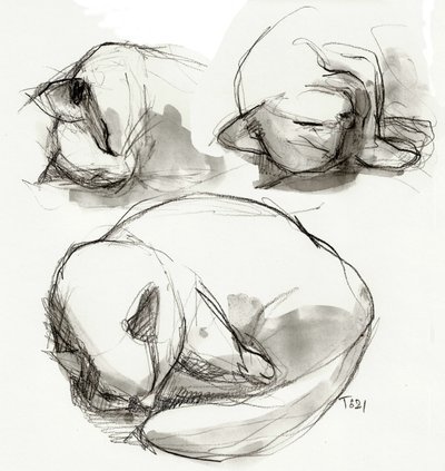 眠る猫に関する研究 作： Tore Bahnson