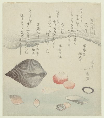花貝、赤貝、純赤貝 Hanagai Akagai Masuogai (オブジェクトのタイトル) 一連のシェル (シリーズ タイトル) かいつくし 作： Totoya Hokkei