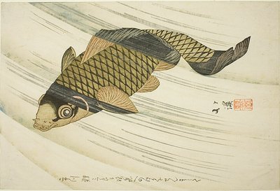 川を泳ぐ鯉 作： Totoya Hokkei