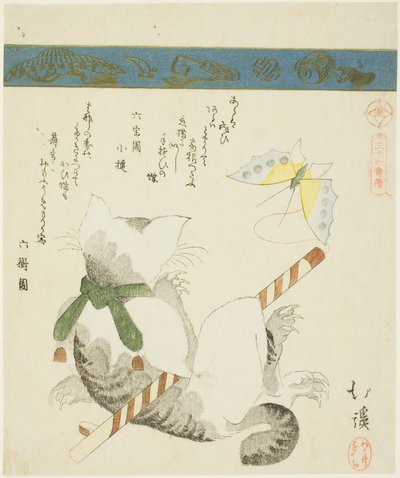 「三十六鳥図」シリーズより おもちゃの蝶と戯れる猫 作： Totoya Hokkei