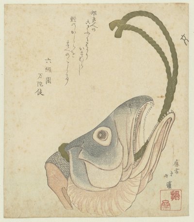鮭の頭 作： Totoya Hokkei