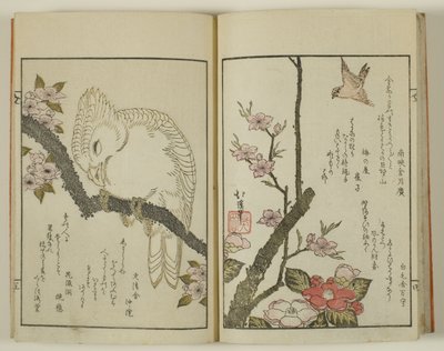 百町京香 作： Totoya Hokkei
