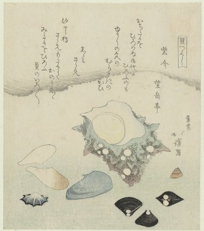 ムラサキ貝、シジミ、サザエ 紫がいしじみさざえ 一連のシェル (シリーズ タイトル) かいつくし 作： Totoya Hokkei