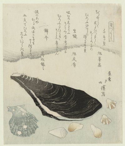 千鳥貝、生ムール貝、錦貝 千鳥貝なまかき錦貝 一連のシェル (シリーズ タイトル) かいつくし 作： Totoya Hokkei