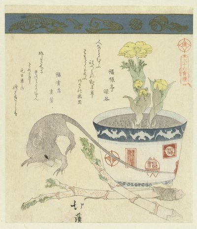 ラットとアドニスが付属 三十六鳥シリーズ（シリーズタイトル） 三十六とりつくし 作： Totoya Hokkei