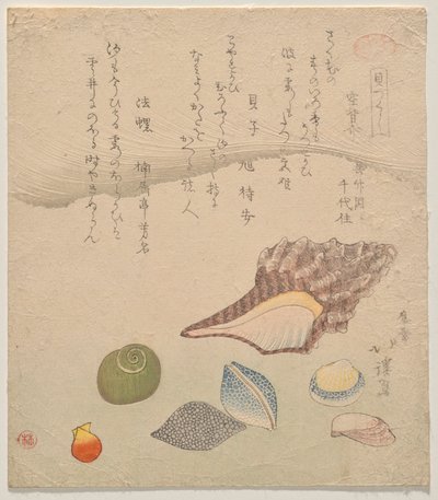 貝殻図鑑（かいずくし）より 海辺の七つの貝殻 作： Totoya Hokkei
