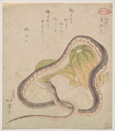 瓢箪に絡んだ蛇 作： Totoya Hokkei