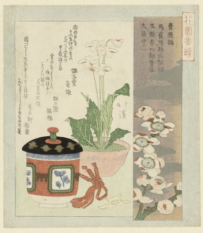 プリムラの花のある静物 作： Totoya Hokkei
