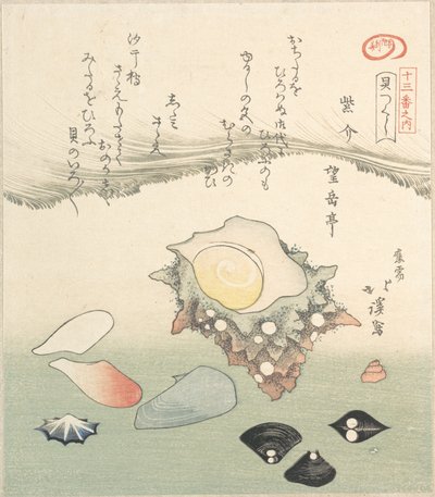 トップシェルとさまざまなシェル、19 世紀。 作： Totoya Hokkei