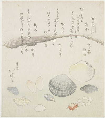 忘れられた貝、梅の花の貝、桜の貝 忘れ外、梅の花外、桜外 一連のシェル (シリーズ タイトル) かいつくし 作： Totoya Hokkei