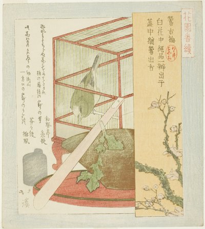 シリーズ「花園番付Aシリーズ」より 檻の中のウグイス 作： Totoya Hokkei